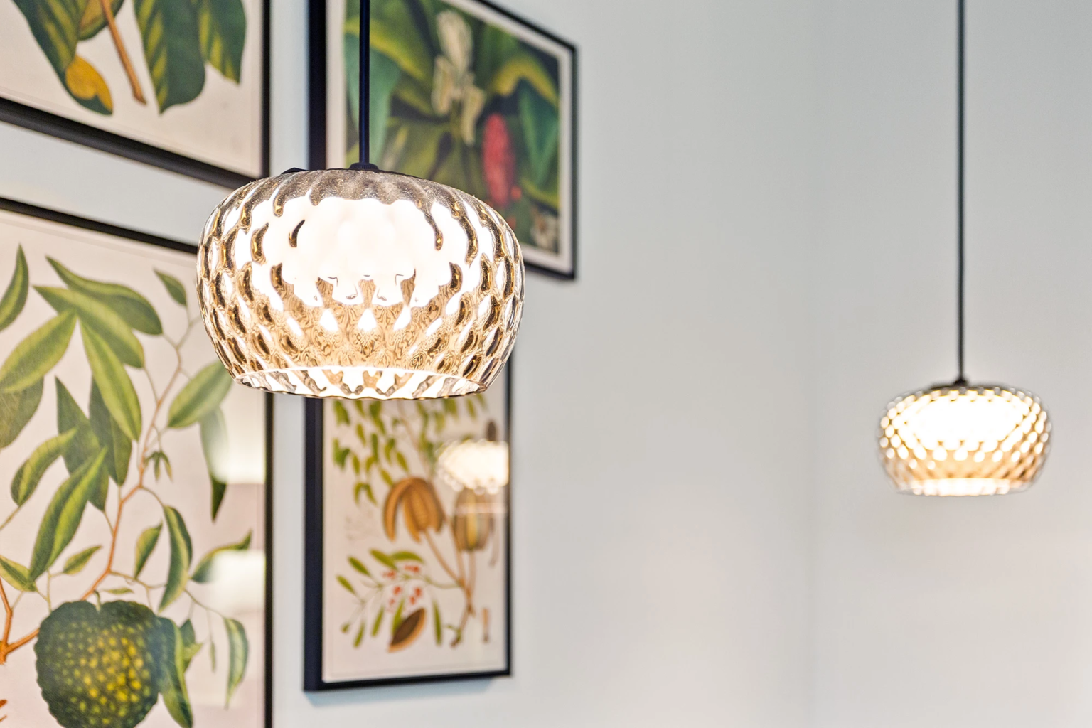 Suspensions lumineuses en verre devant cadres botaniques