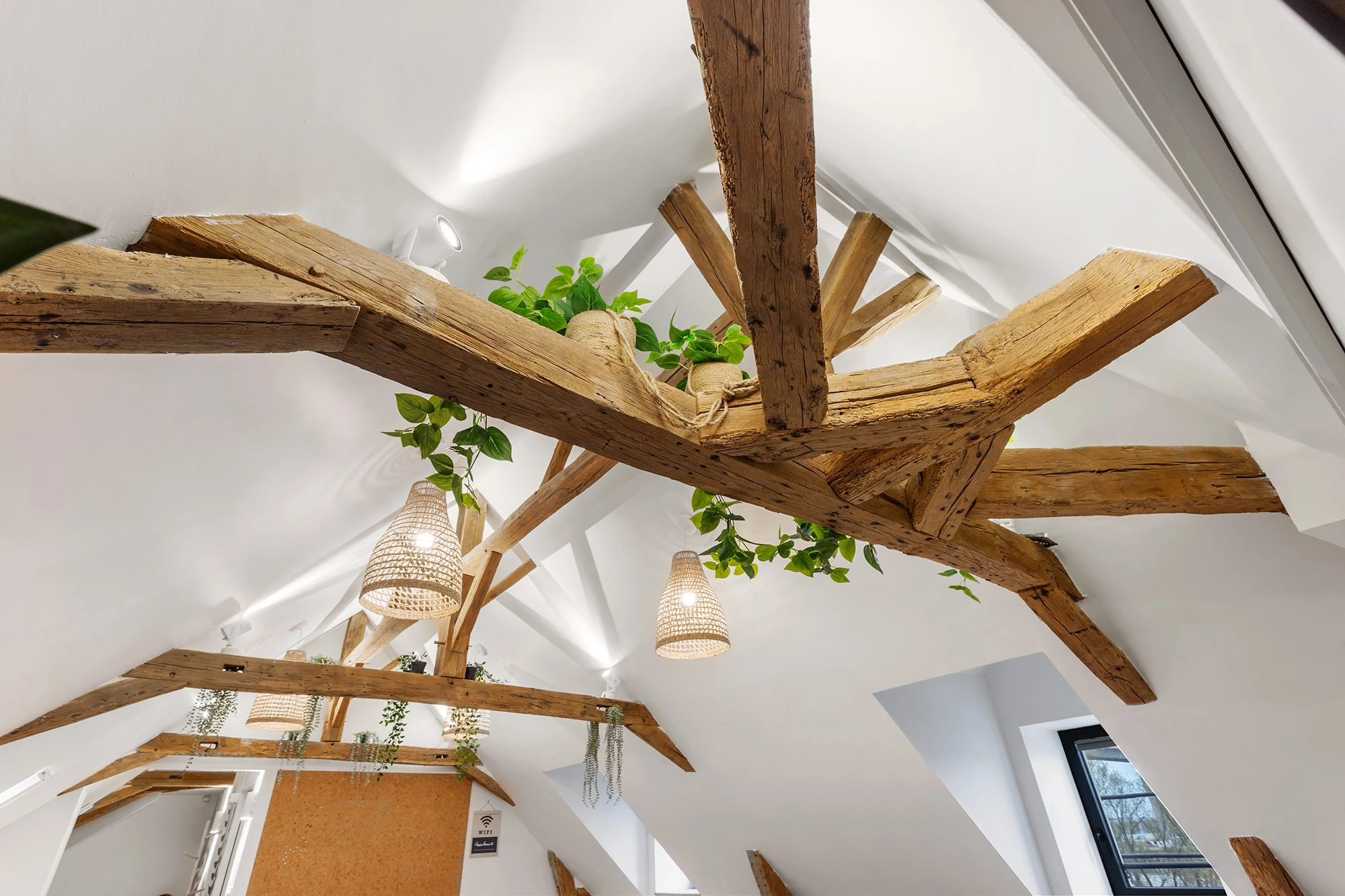 Plafond mansardé avec poutres apparentes en bois brut, suspensions en fibres naturelles et plantes suspendues dans un espace lumineux rénové.