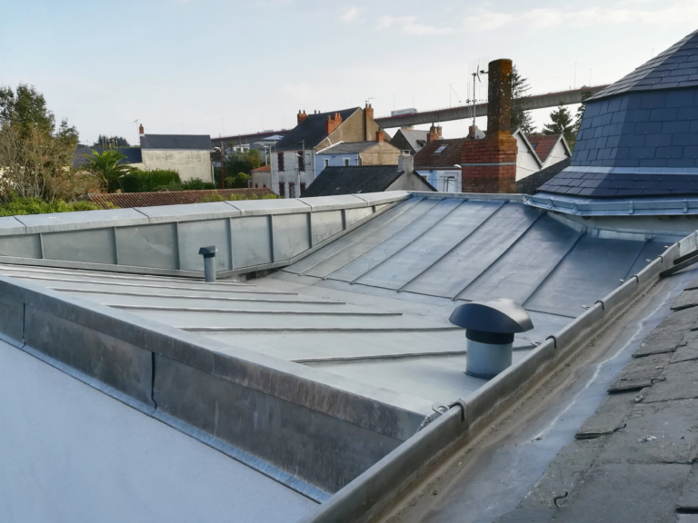 Toiture en zinc avec cheminées et maisons en arrière-plan-